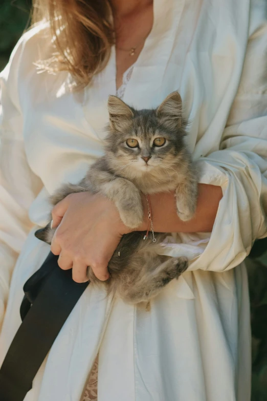 a cat that is sitting in a woman's arm