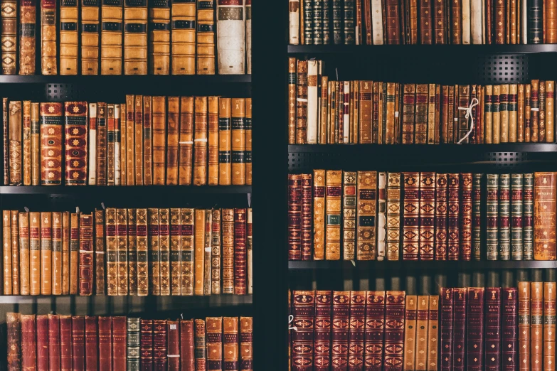 some old books on shelves full of old books