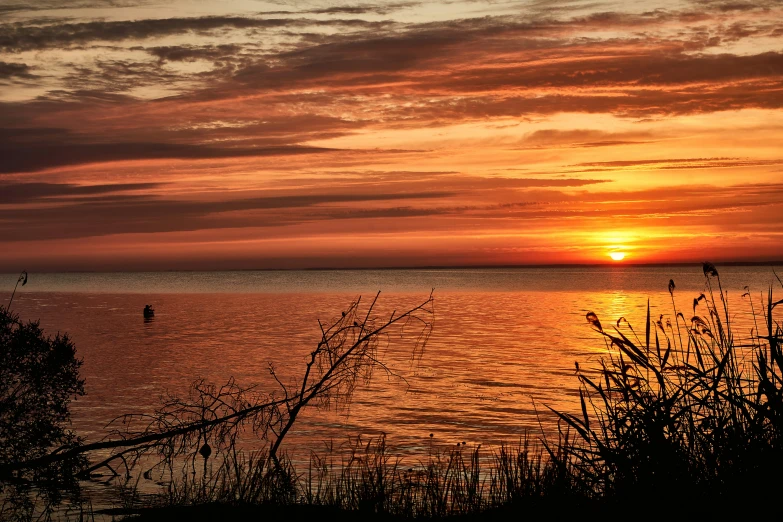 sunset on the ocean showing boats out on the water