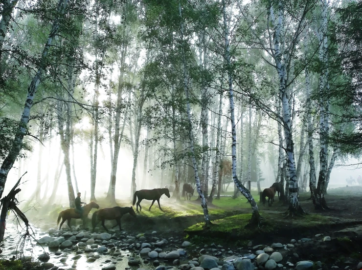 horses are running in the stream in the fog