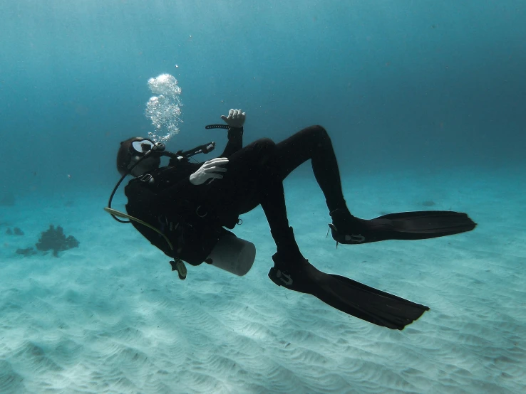 a scuba diver diving in the ocean under water