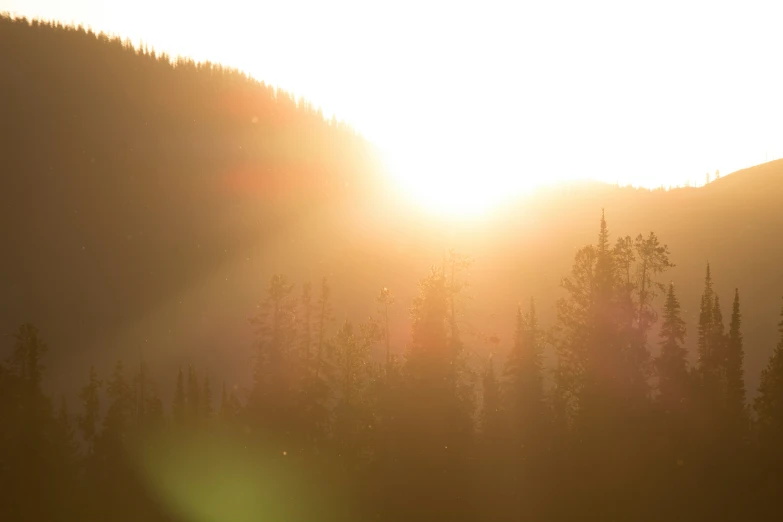 the sun is shining through trees in the mountains