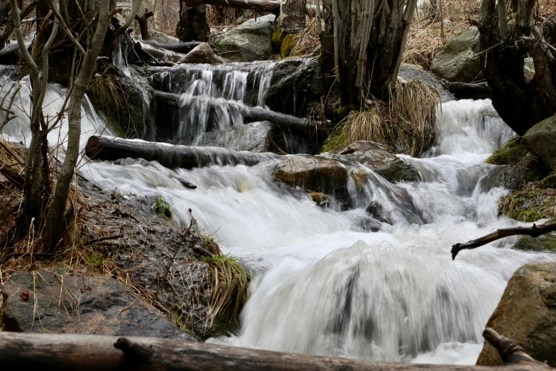 a small stream flowing down a forested river