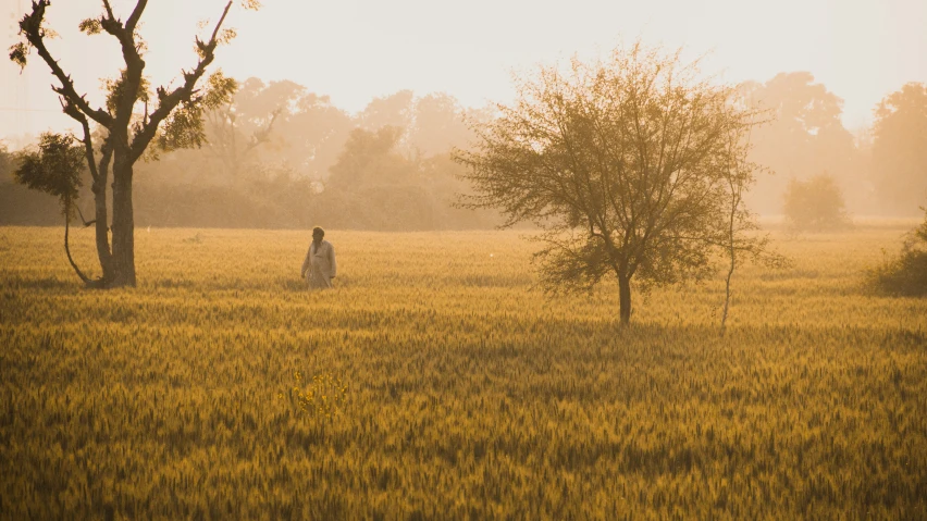an image of woman standing in the middle of the field