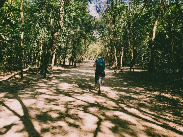 a person walking down a wooded road with a backpack