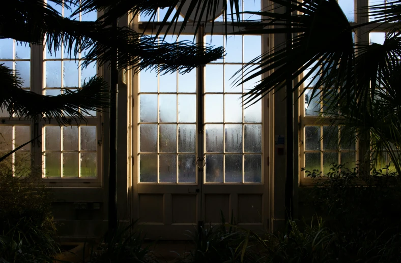 three large windows are open on the wall