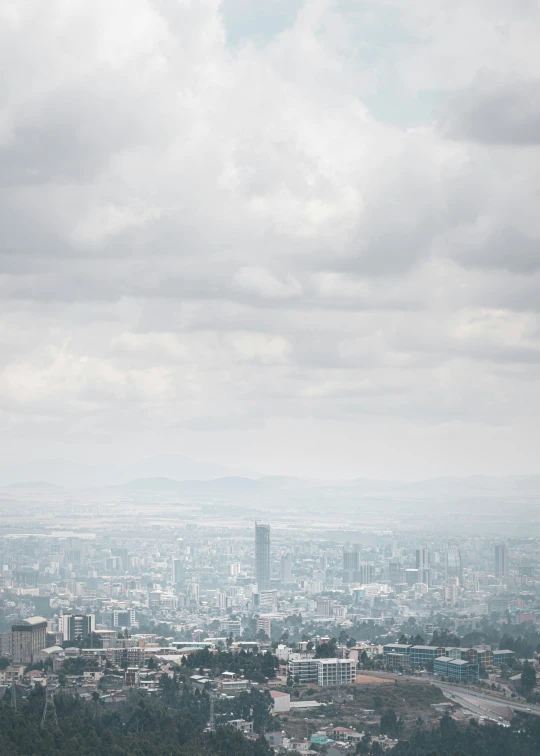 large bird flying near a very tall city under cloudy skies