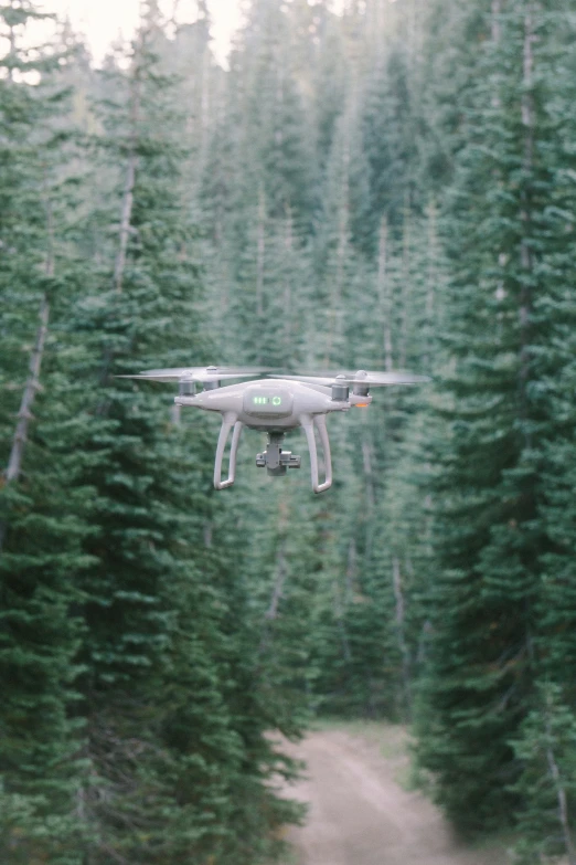 a crop - top farm plane flying low over the forest