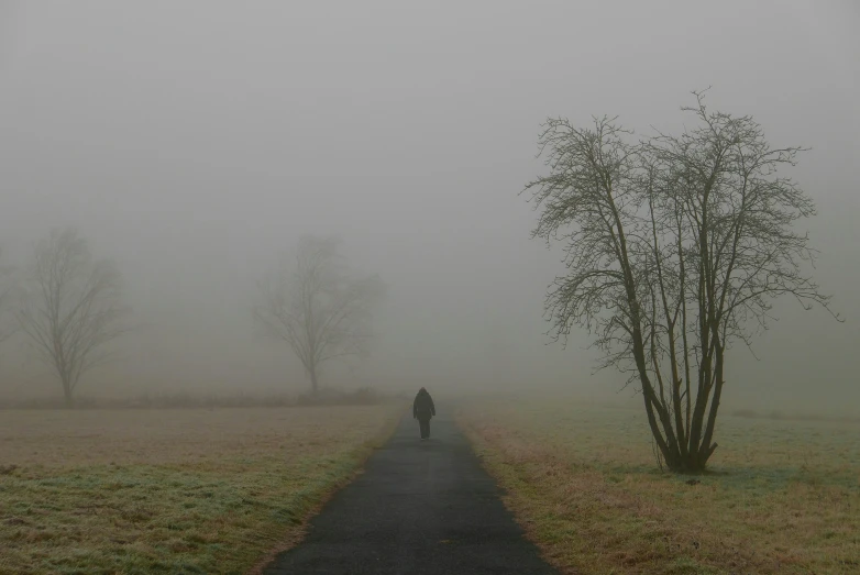 lone man walking down misty, foggy, dirt road