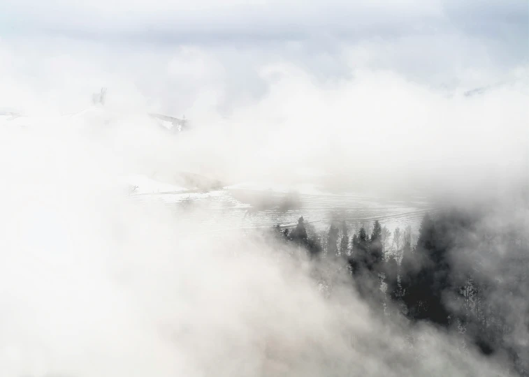 mountains covered in mist and snow, with trees