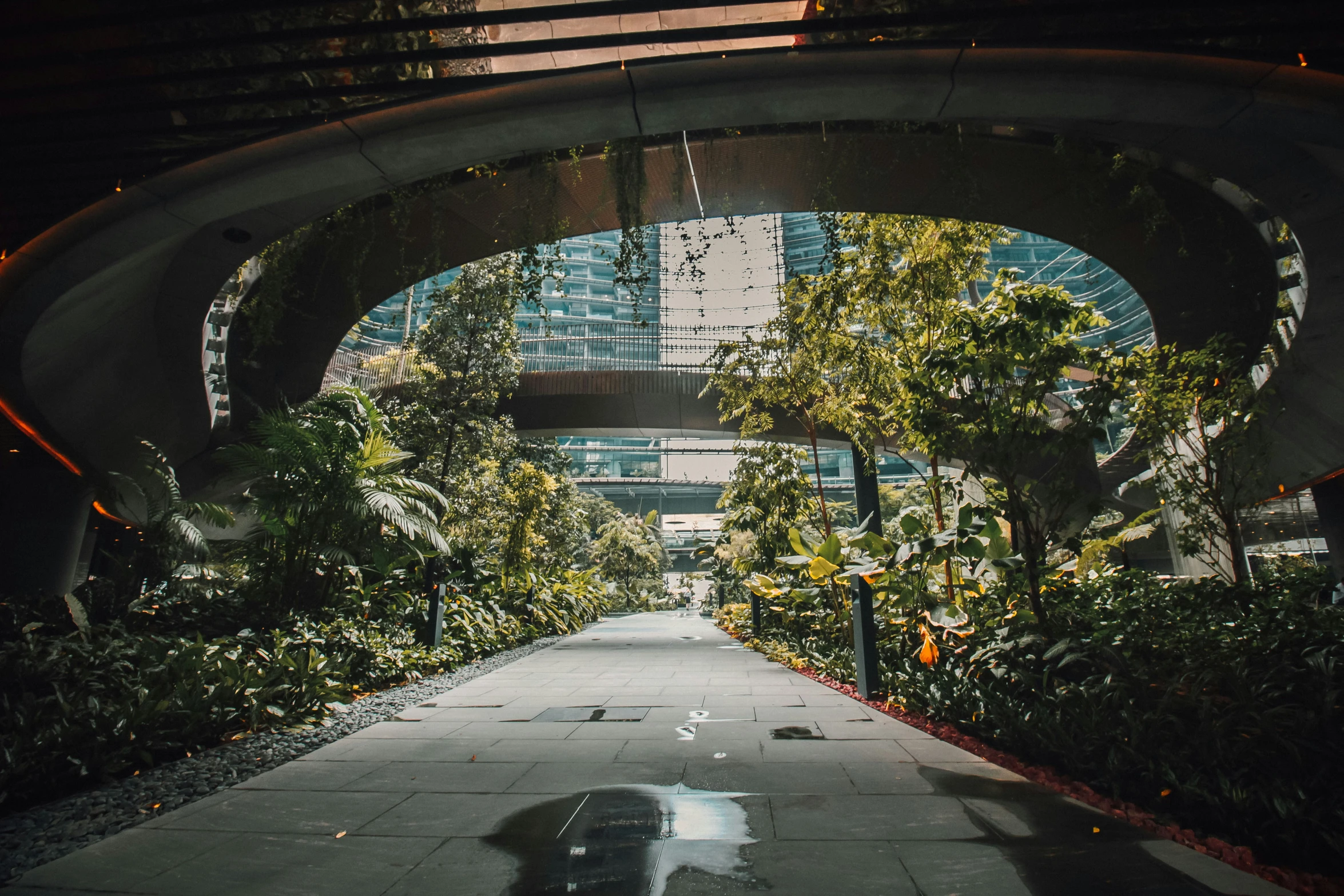 a very narrow walkway with plants and a tunnel