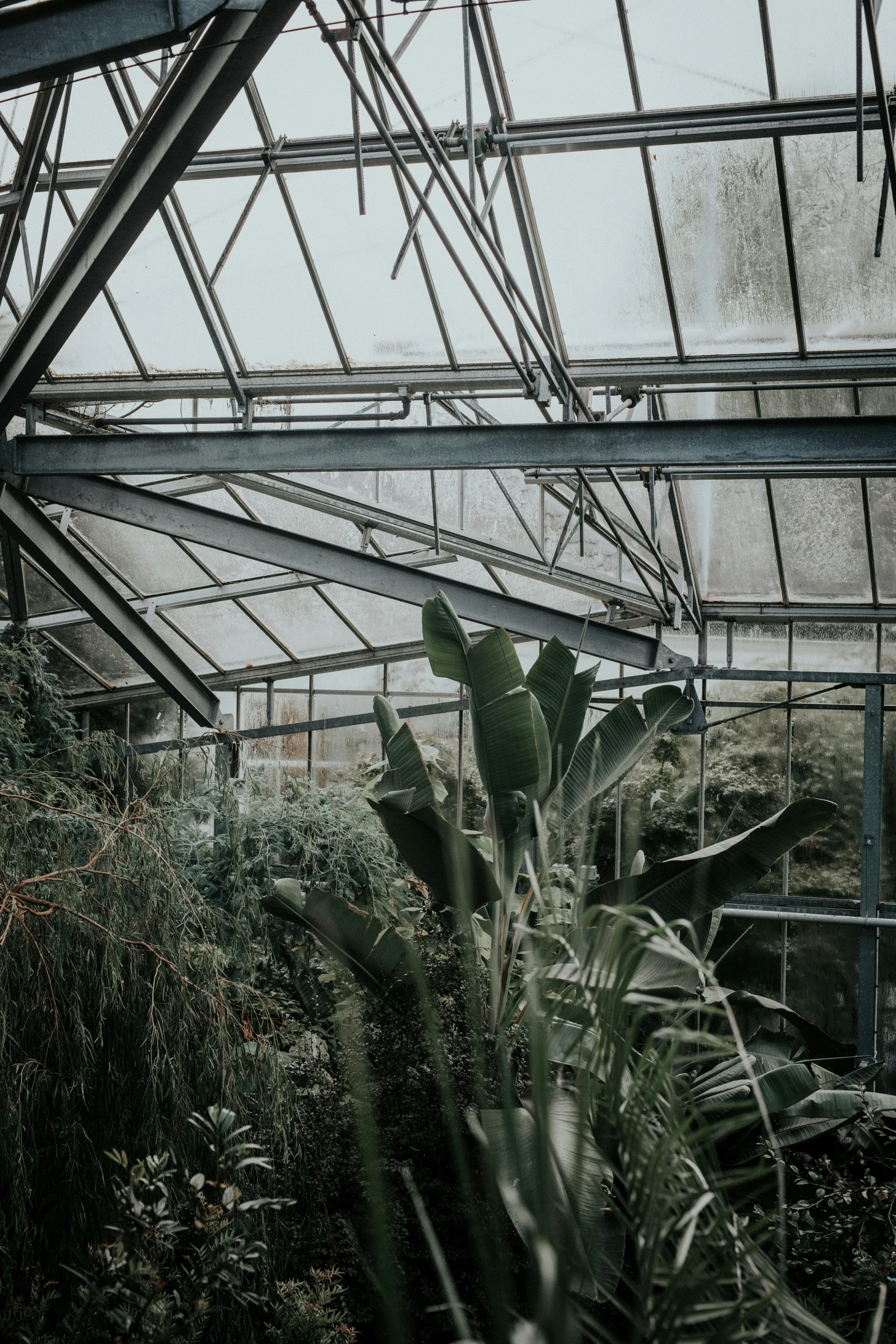 an old abandoned greenhouse has its roof missing