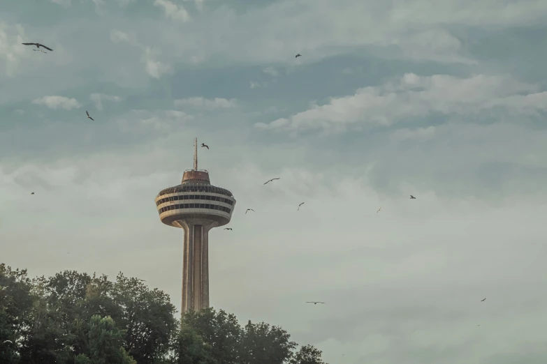 two birds flying around the tower on a cloudy day