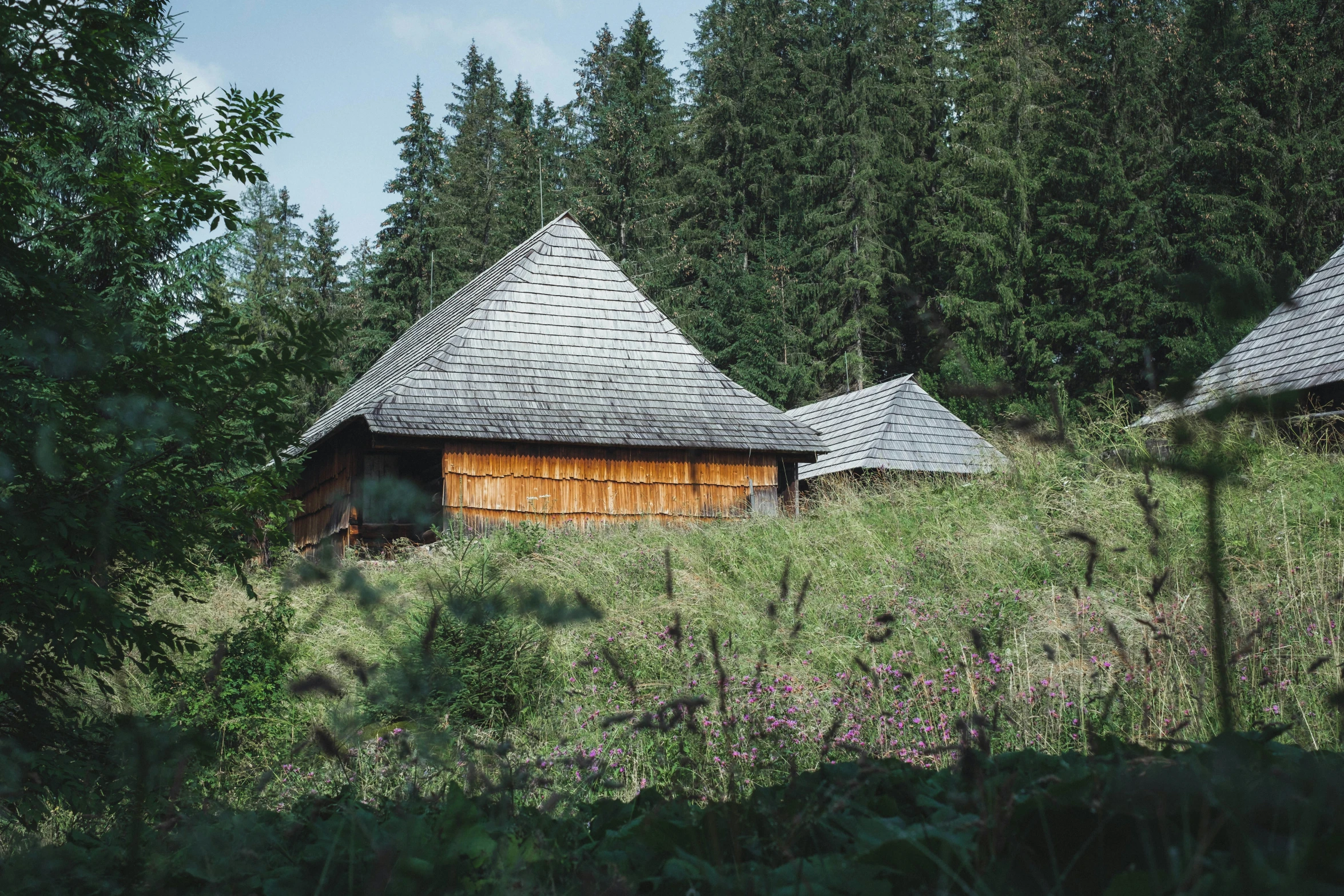 three wooden building next to a green forest