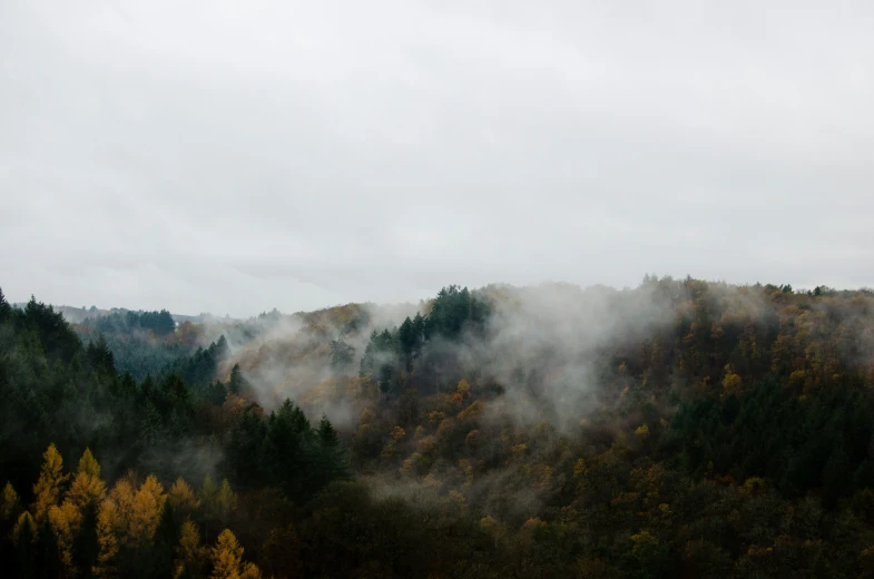 a misty mountain with some clouds and trees