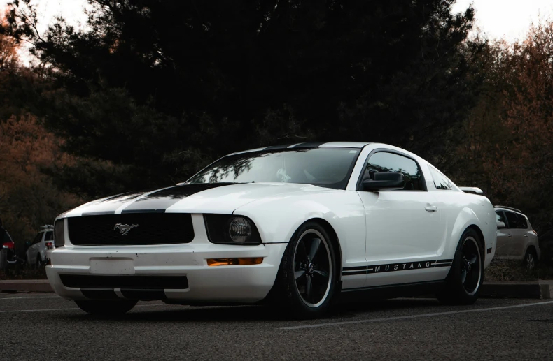 white mustang sitting in parking lot next to trees