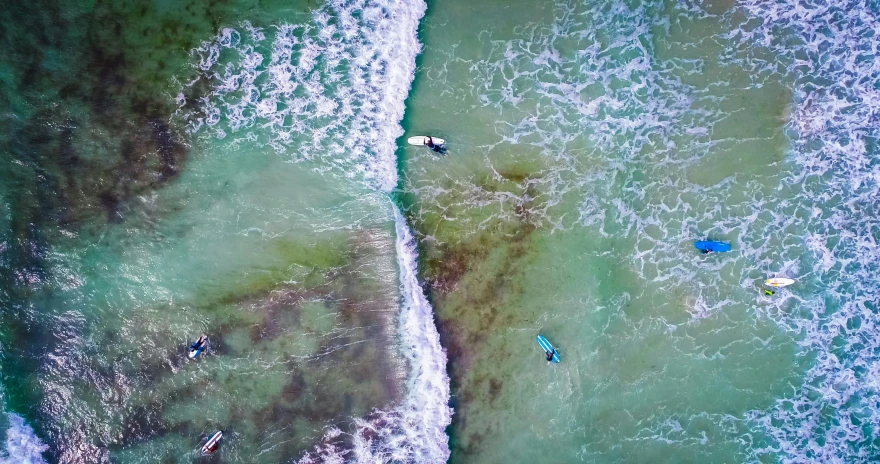 there are surf boarders and their boards in the ocean