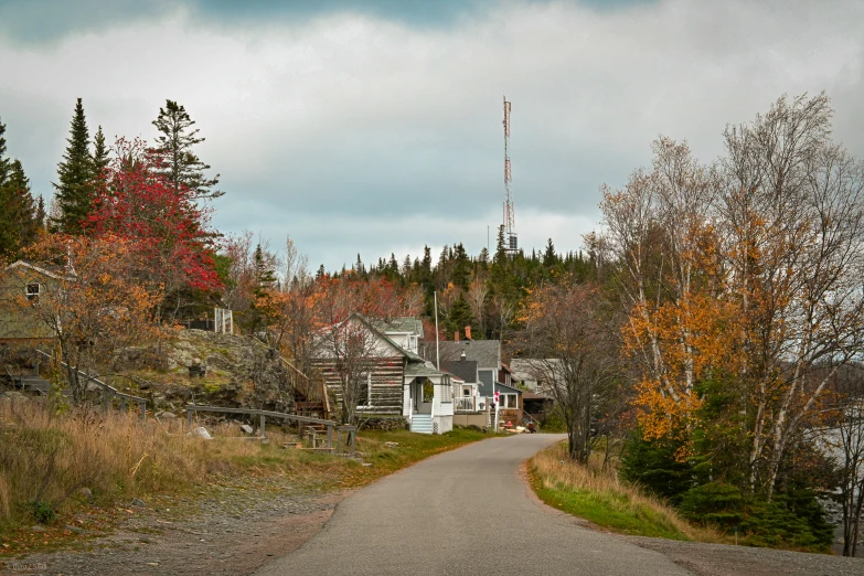 this po is looking down a road leading to some houses