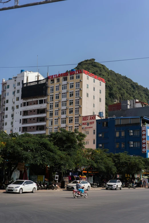 a view of several tall buildings next to a tree filled street