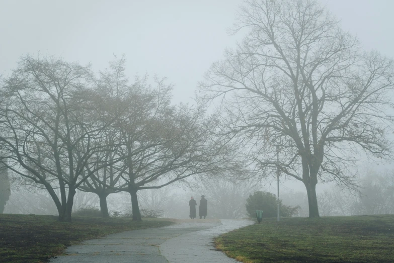 people are walking down the road in a foggy park