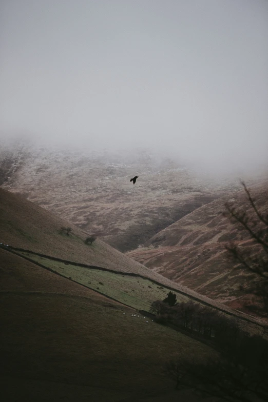 the view of a distant area from the top of a hill