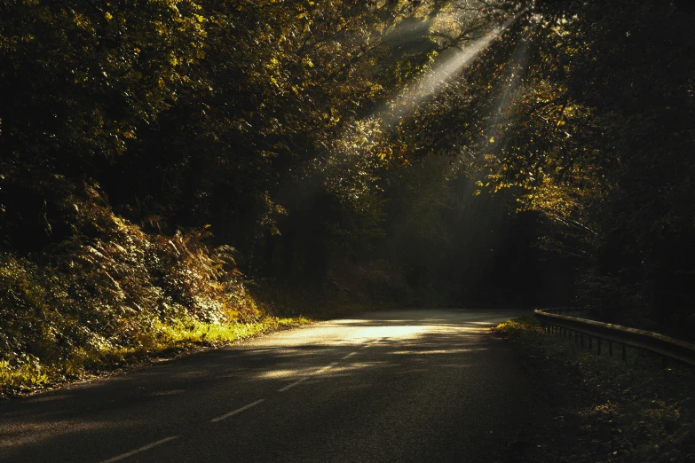 the light is shining through the trees onto the road