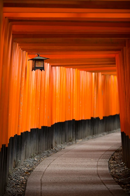 rows of orange umbrellas on the ground at the bottom of the street