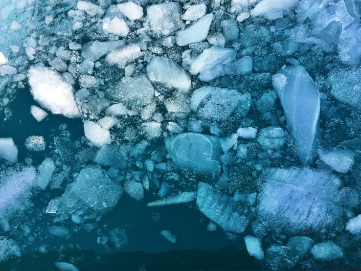 ice chunks on the water looking like they are melting