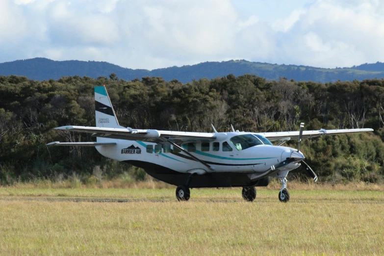 a small white airplane on a field near trees