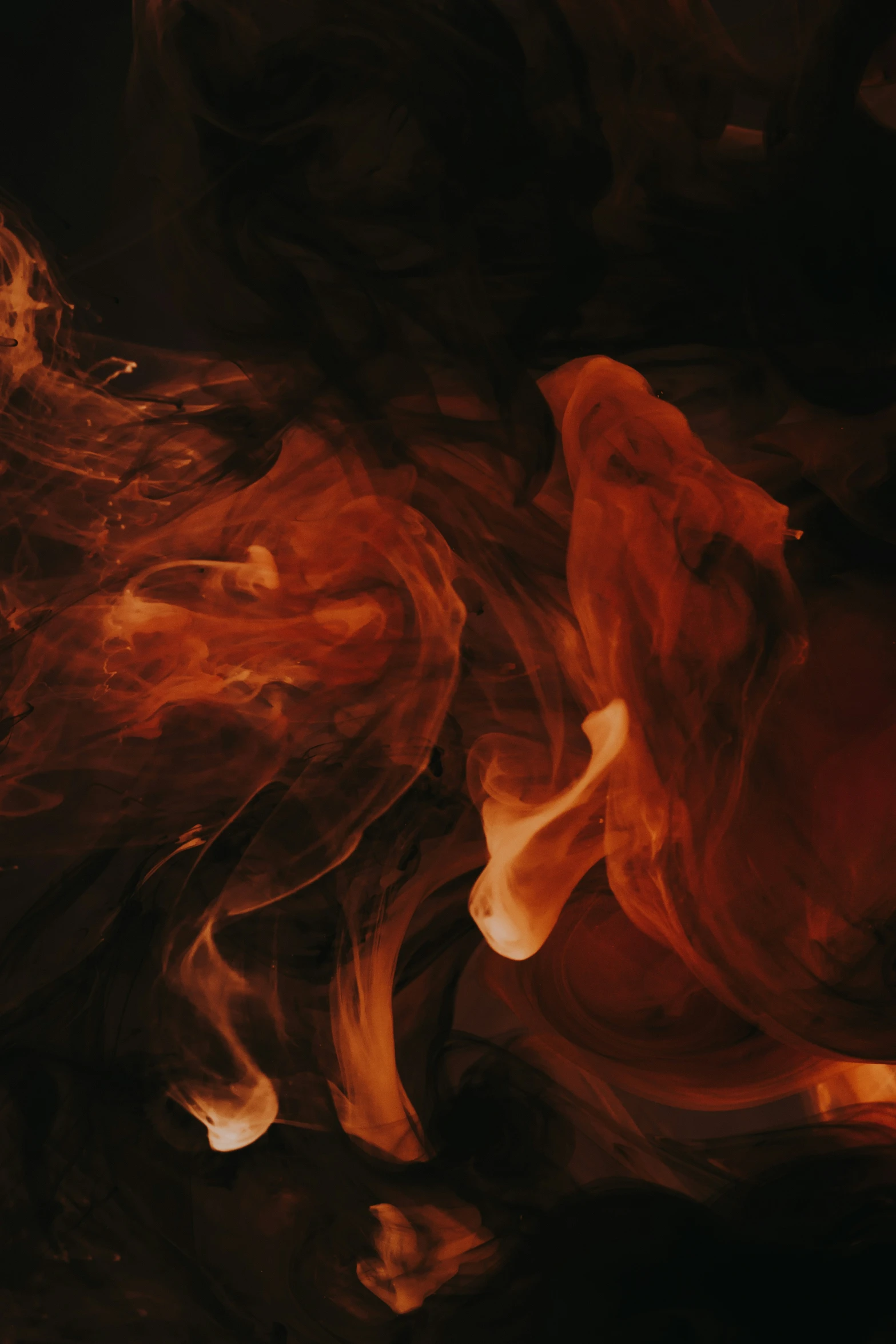 an abstract image of smoke coming from the back of a bird's head