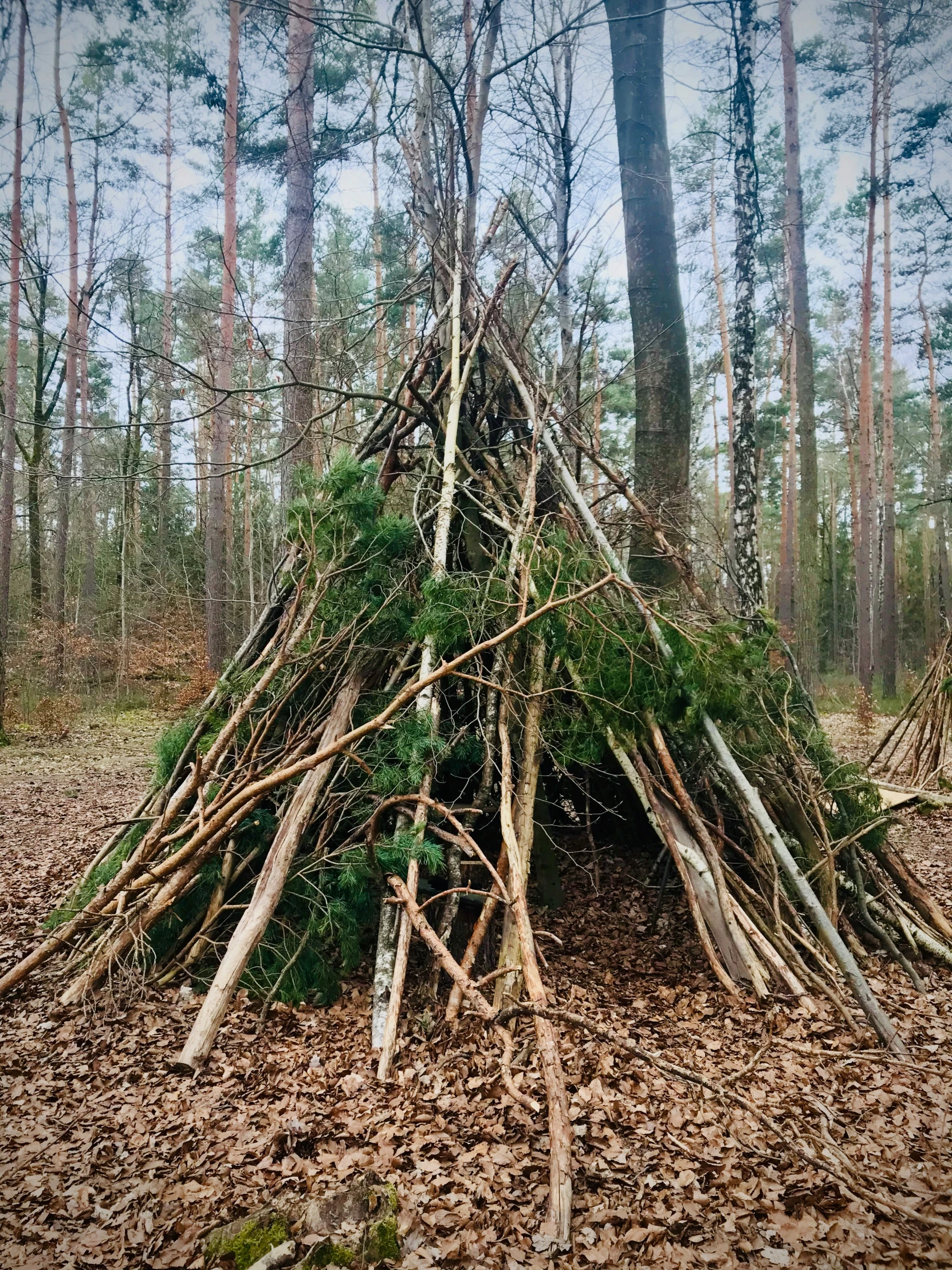 a native - style tent in the forest is made from nches and grass