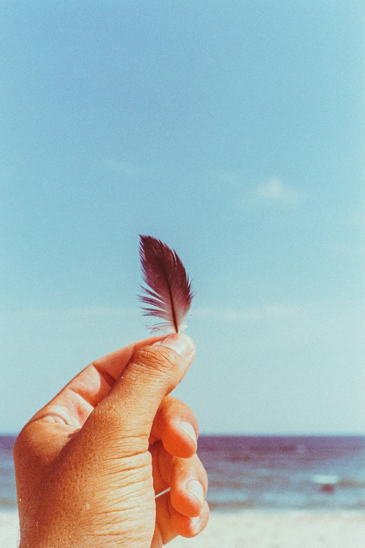 the hand is holding a feather in the ocean