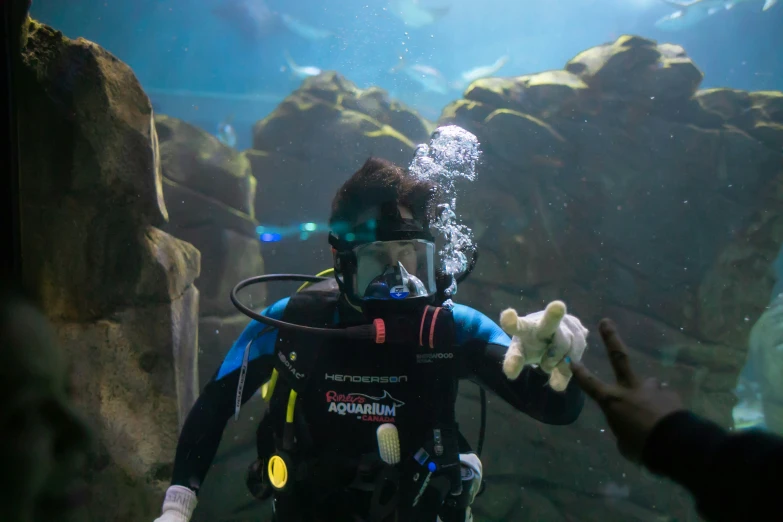a diver holds up two teddy bears in an aquarium