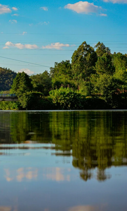 a scenic view of the trees around a lake