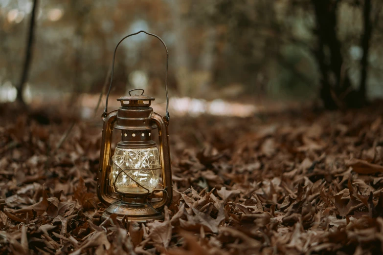 a lit lantern is in a wood and is surrounded by leaves