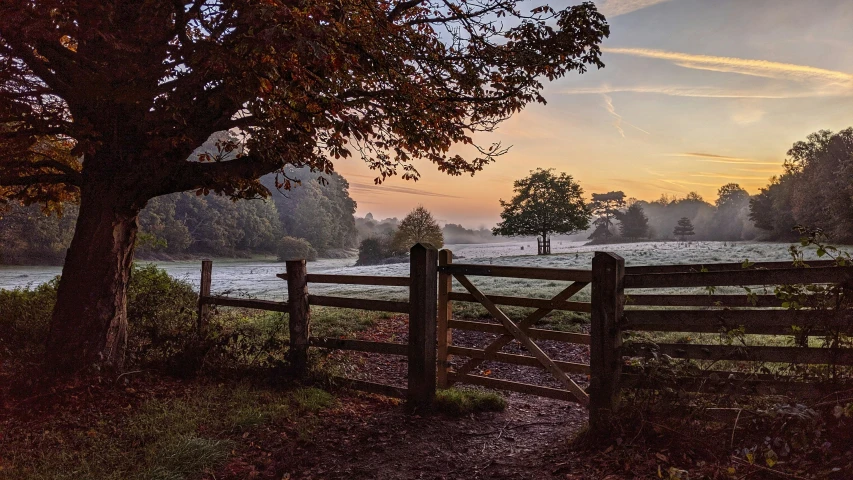 the fence and path leading to a pasture