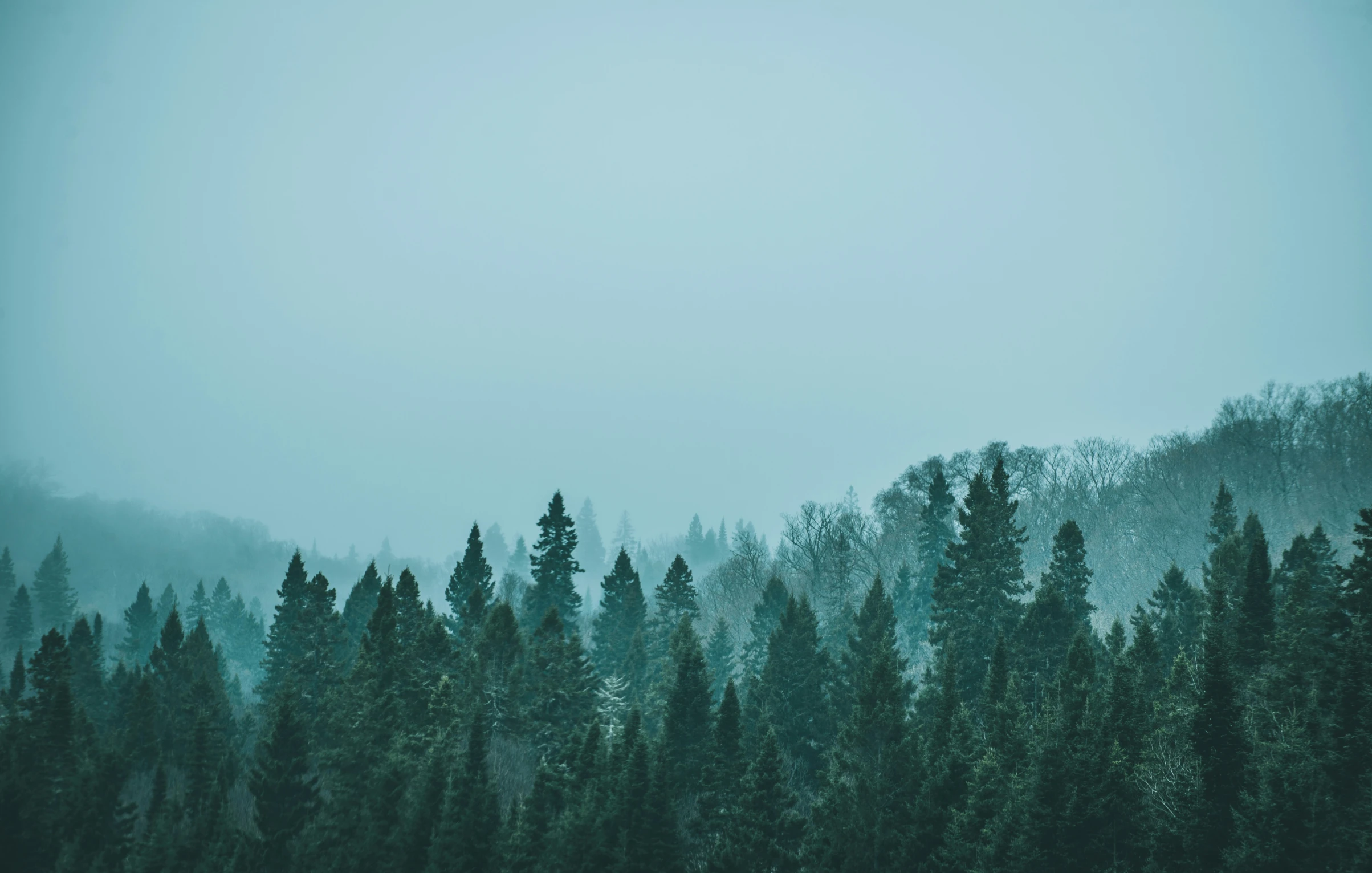 some trees and some sky and some clouds