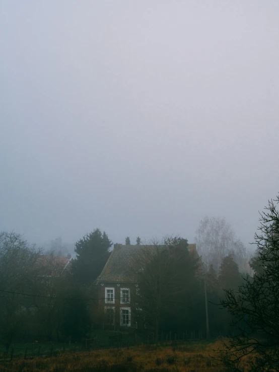 a house with some bushes and trees in front of it