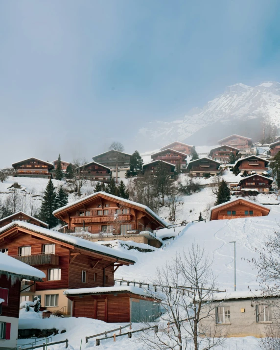 there are many wooden houses in the mountains