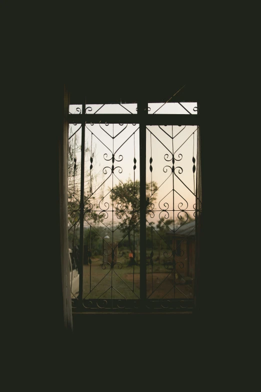 looking out of a wrought iron window into a lush green yard