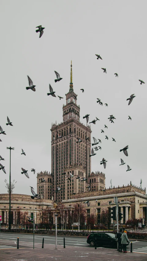 flocks of birds flying over a large building