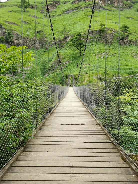 a wooden suspension bridge going across a lush green valley