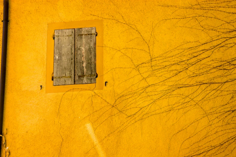 a yellow wall with a window and tree nches