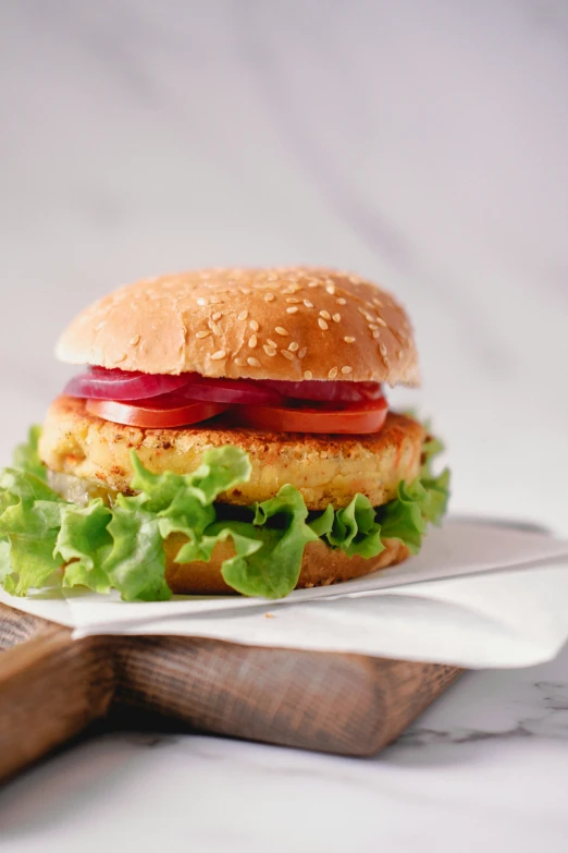 chicken burgers with lettuce, tomato and onion