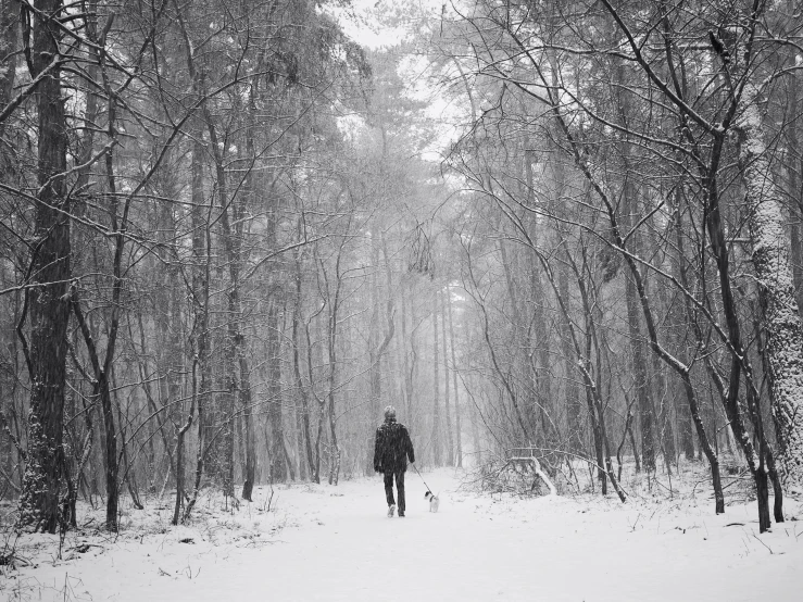 a man walking down a snow covered path