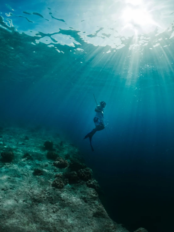 a person in scuba gear swims under the water