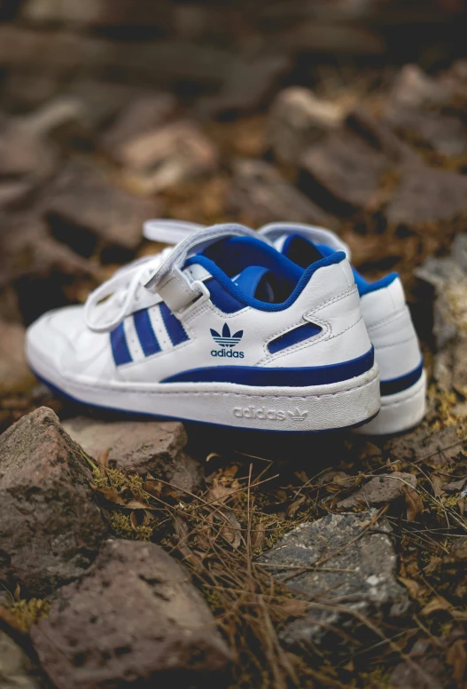 an adidas sneaker with a little white bow on the toe is sitting against some rocks