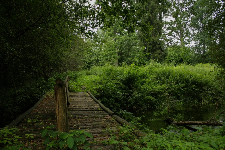 an old wooden bridge is in the woods