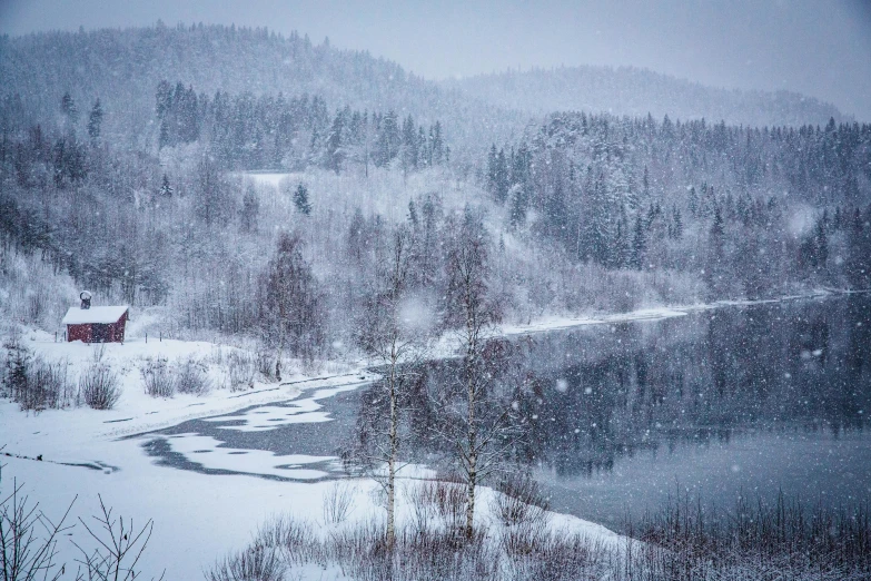 wintery view of snowy trees and a small cottage