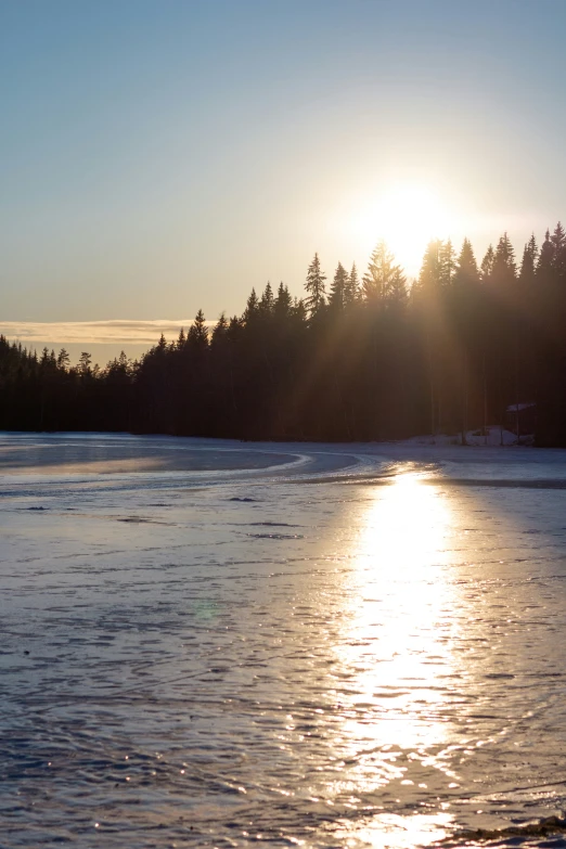 the sun shining on water with some trees